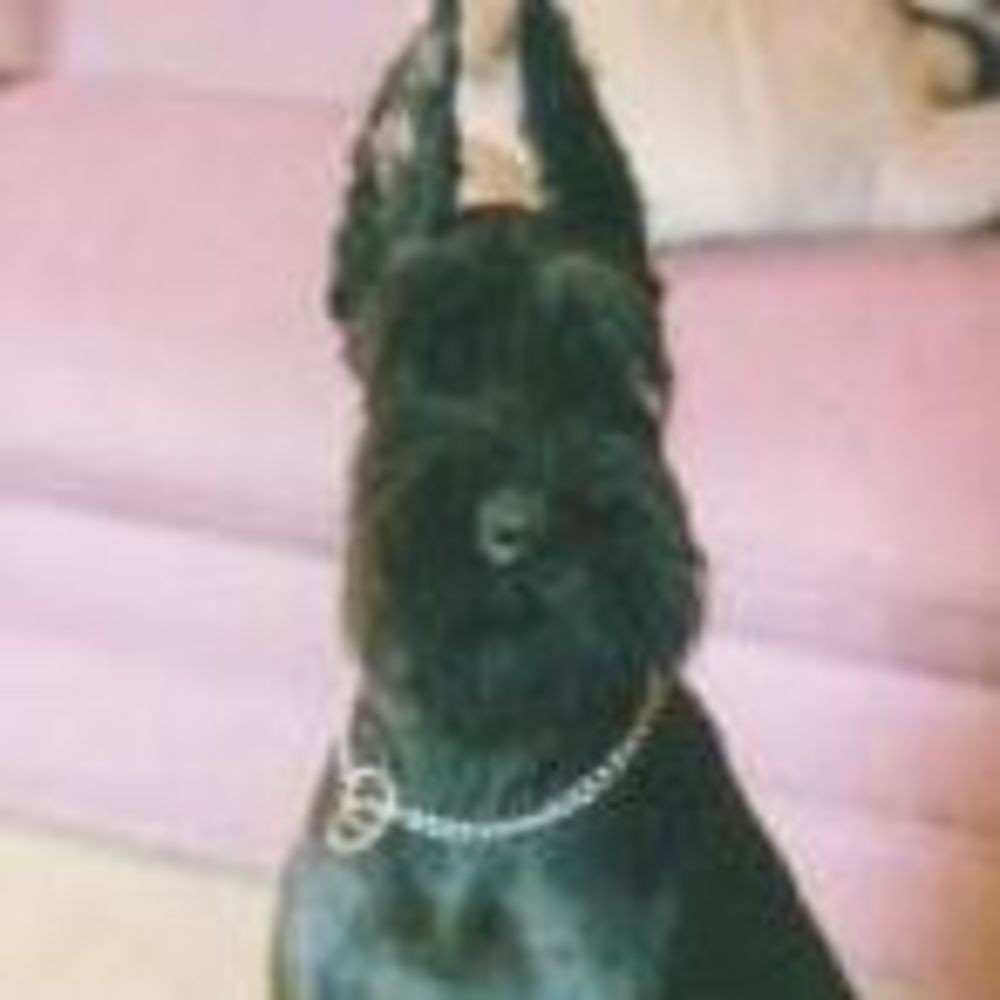 Meet your Posher, Lucy